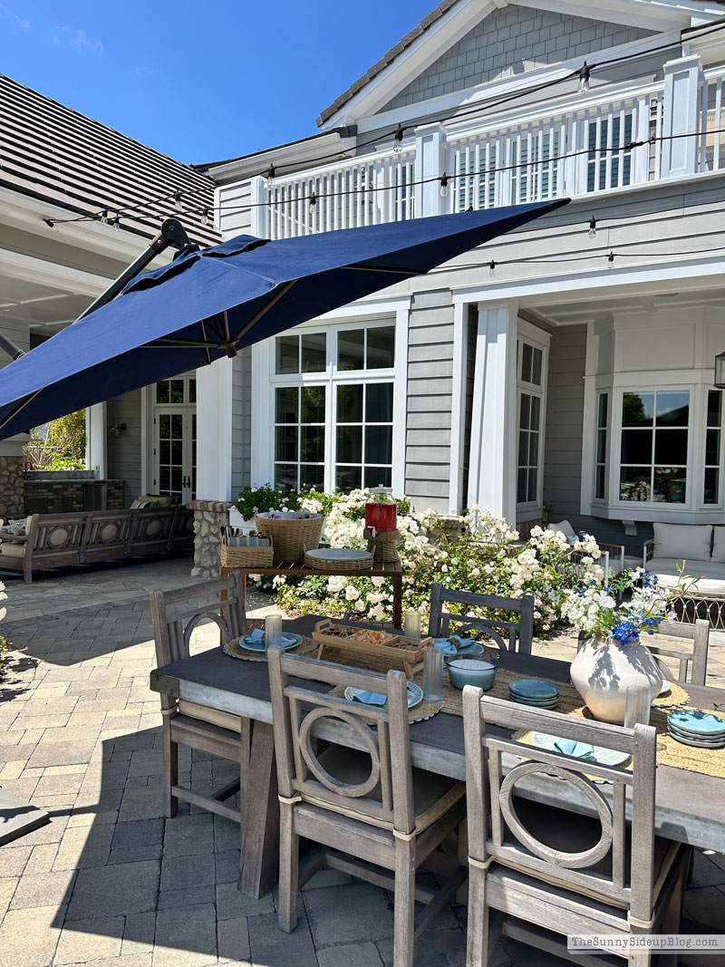 Summer Hosting (Sunny Lifestyles)