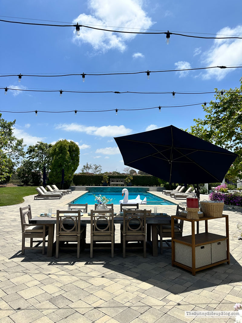 Summer Hosting (Sunny Lifestyles)