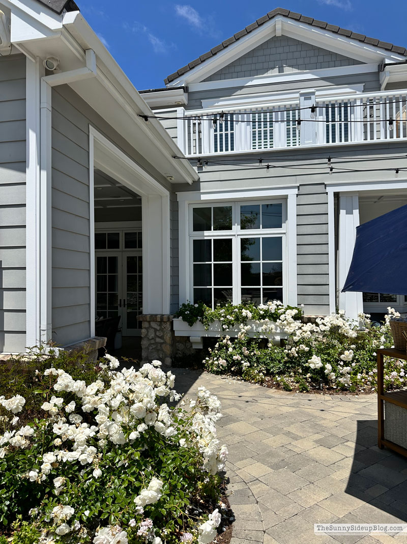 Summer Hosting (Sunny Lifestyles)