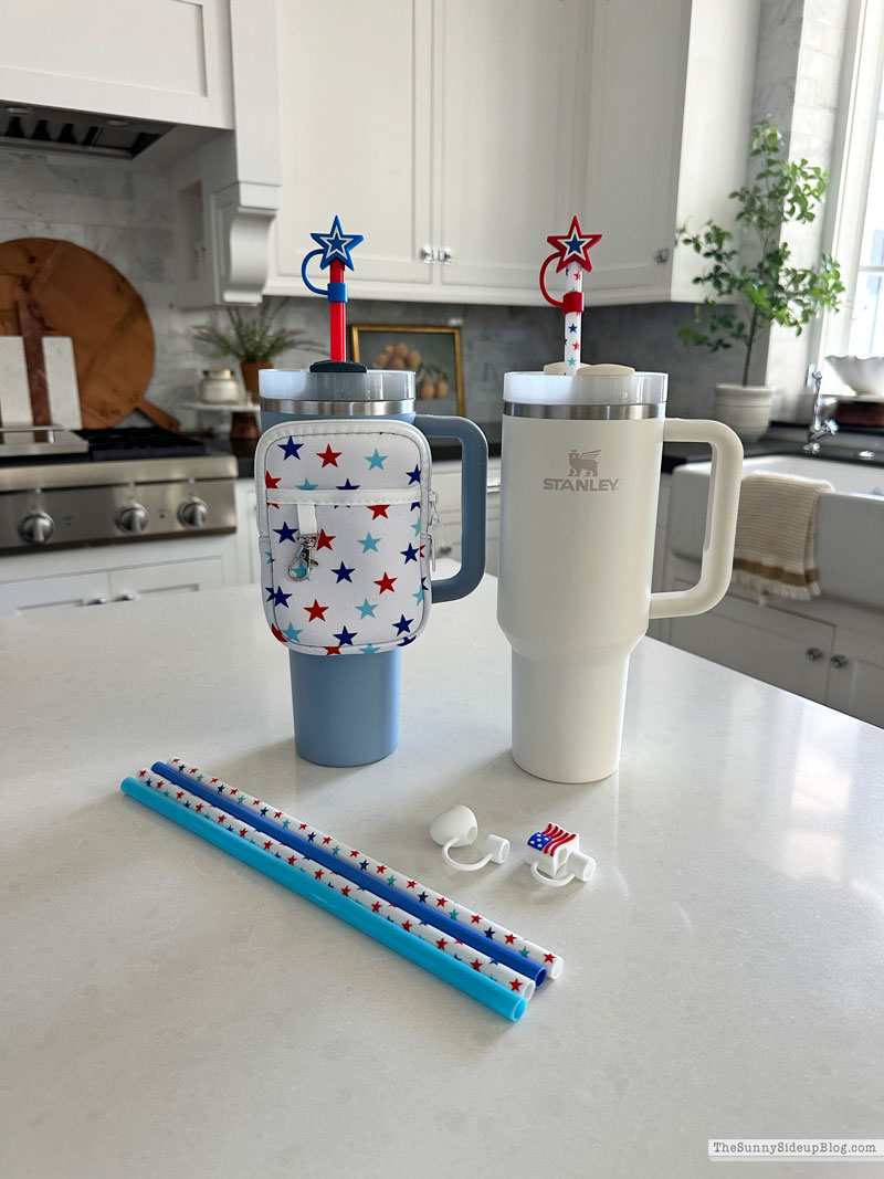4th of July Ideas (Sunny Lifestyles)