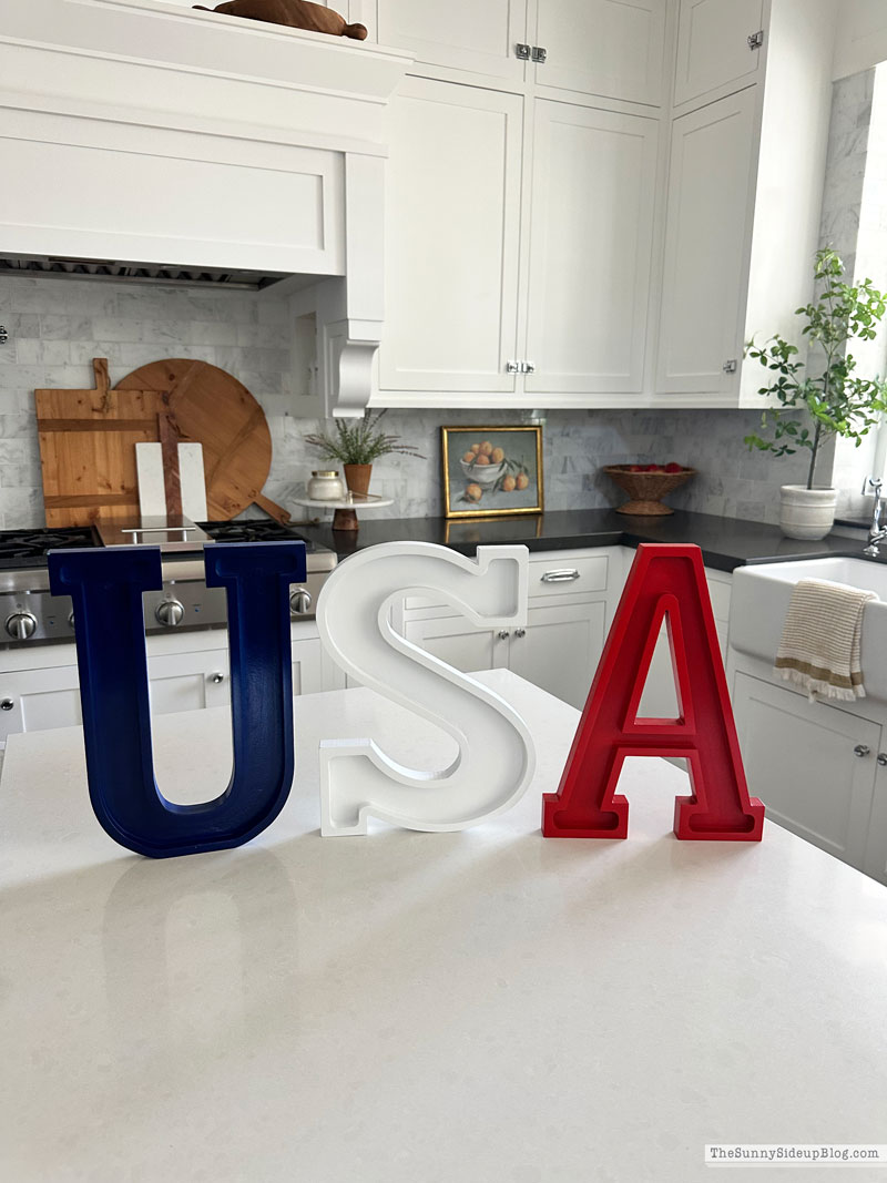 4th of July Ideas (Sunny Lifestyles)