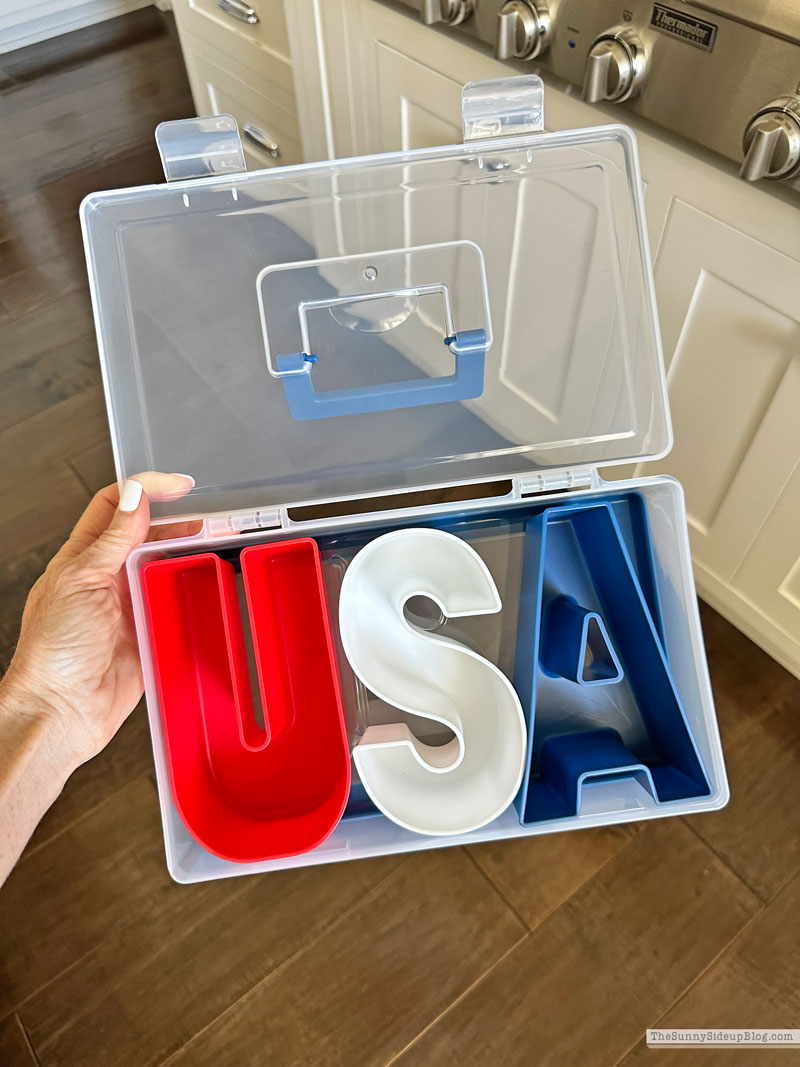 4th of July Ideas (Sunny Lifestyles)