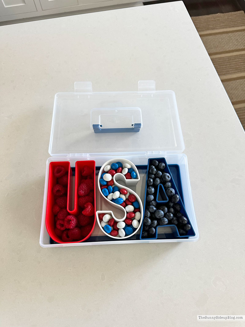 4th of July Ideas (Sunny Lifestyles)