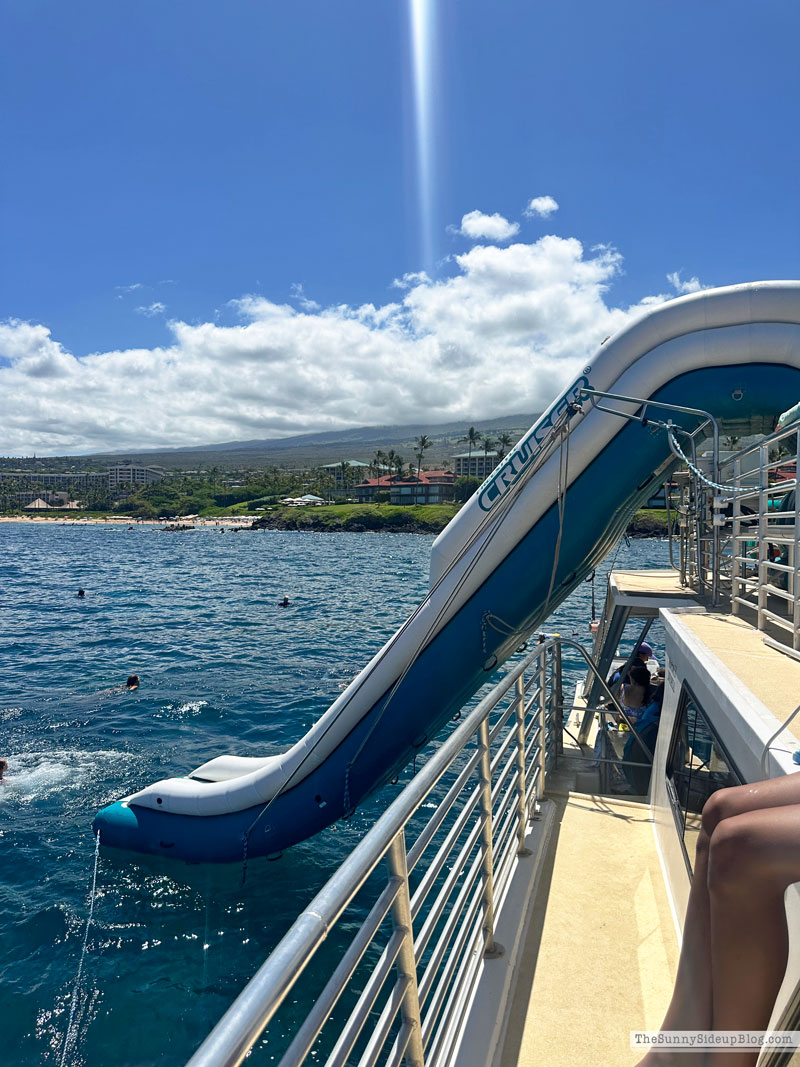 Maui 2025 (Sunny Lifestyles)