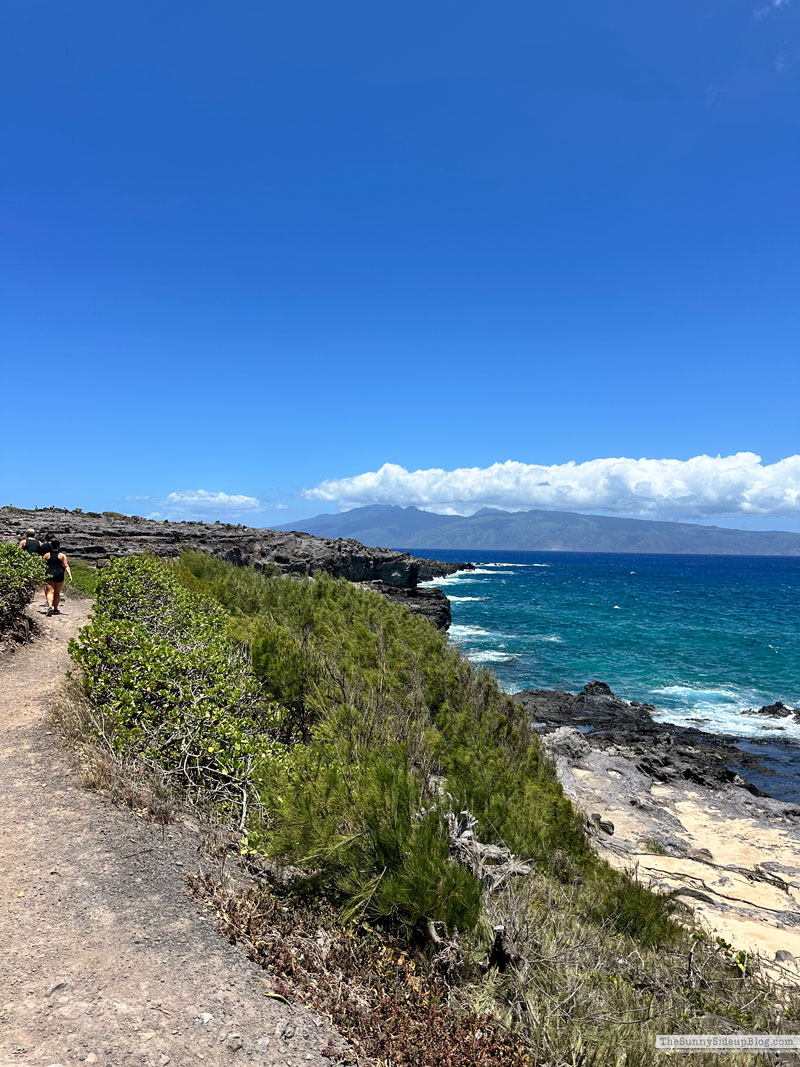 Maui 2025 (Sunny Lifestyles)