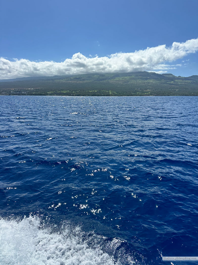 Maui 2025 (Sunny Lifestyles)