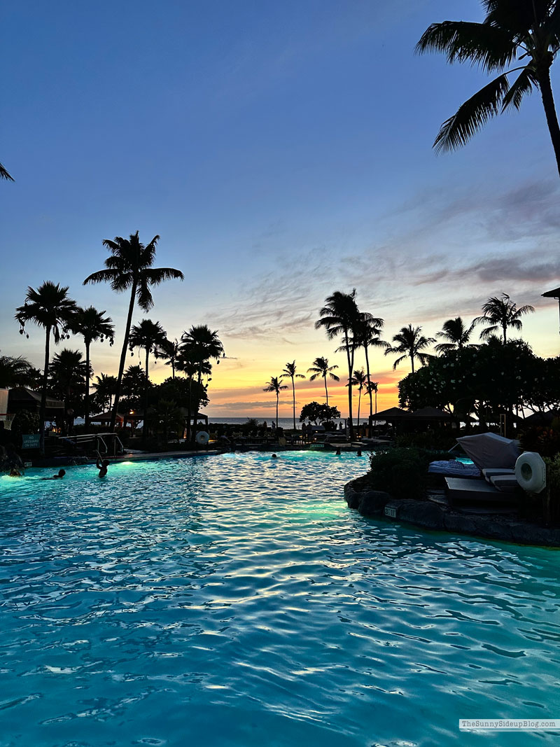Maui 2025 (Sunny Lifestyles)