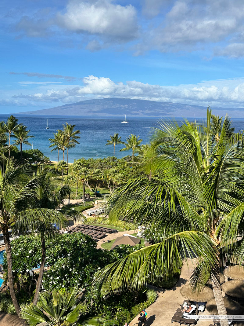 Maui 2025 (Sunny Lifestyles)