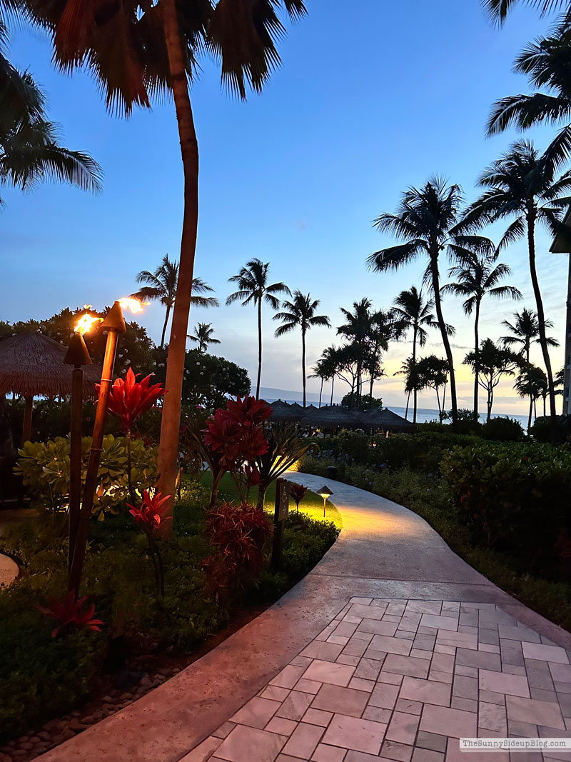 Maui 2025 (Sunny Lifestyles)