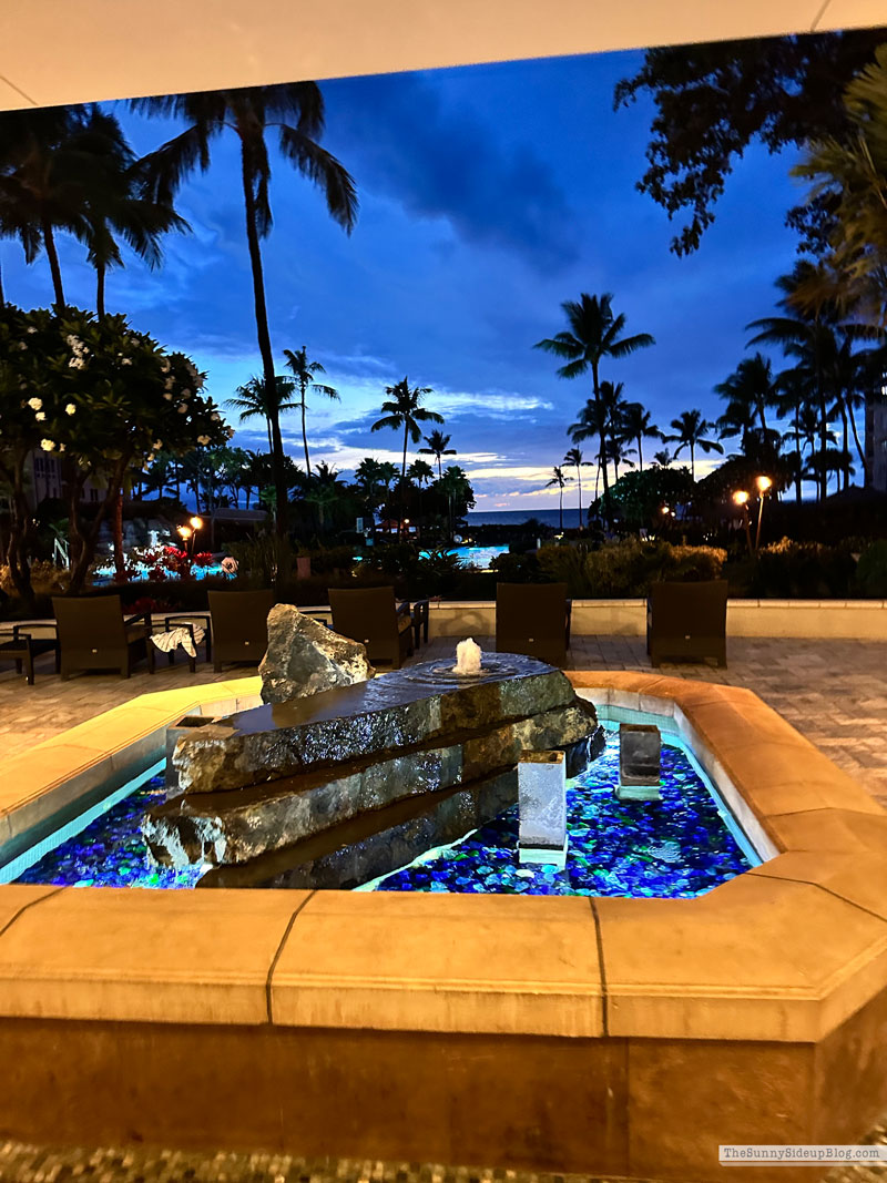 Maui 2025 (Sunny Lifestyles)