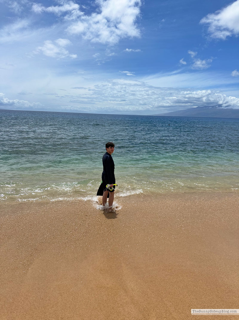 Maui 2025 (Sunny Lifestyles)