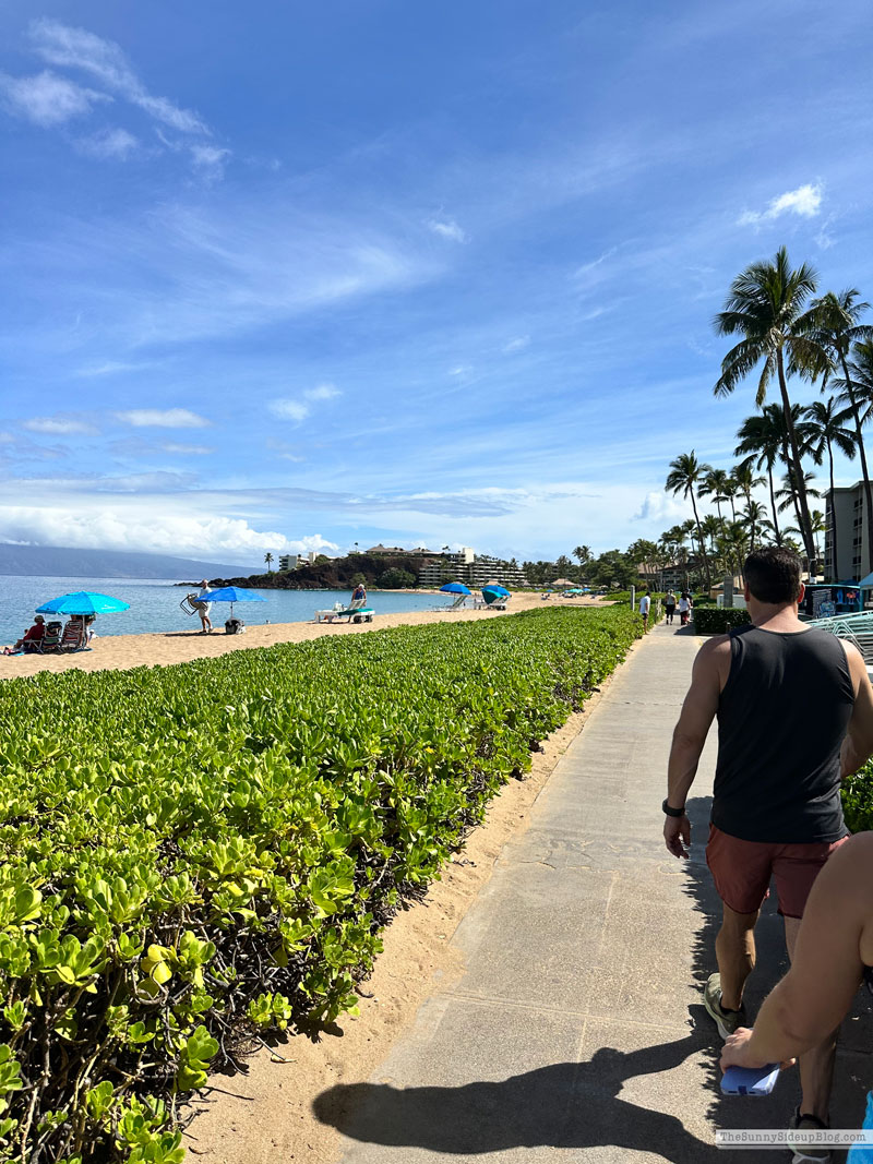 Maui 2025 (Sunny Lifestyles)