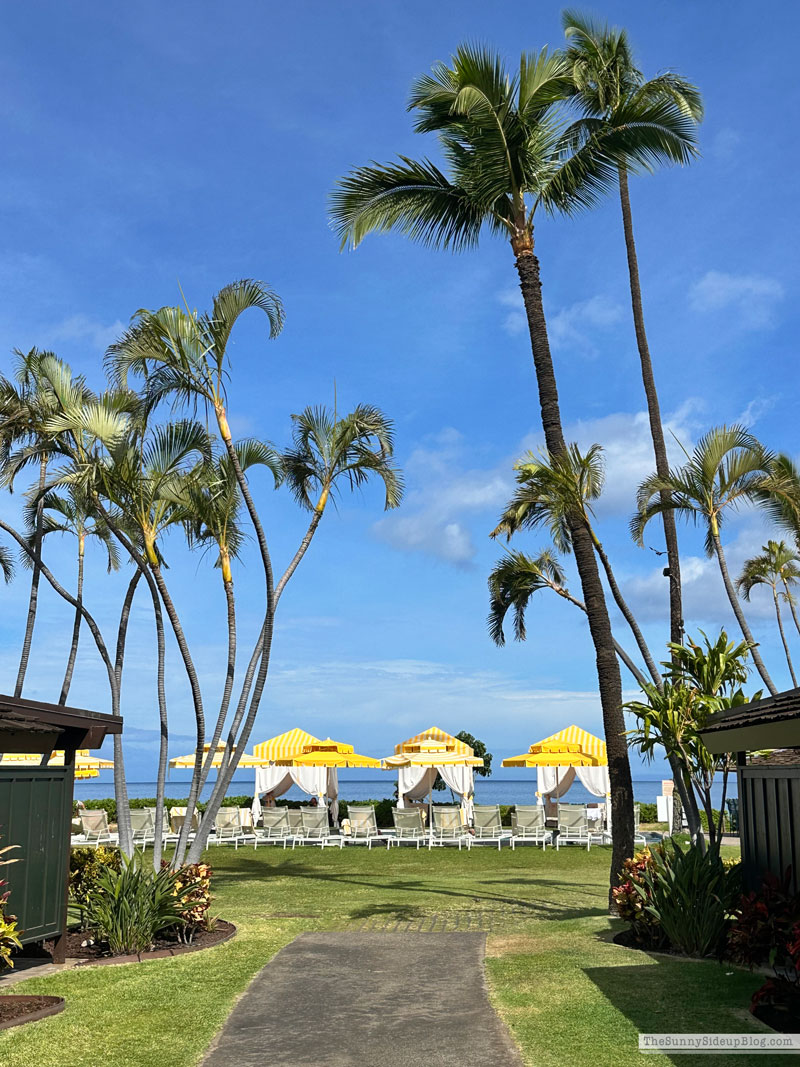 Maui 2025 (Sunny Lifestyles)