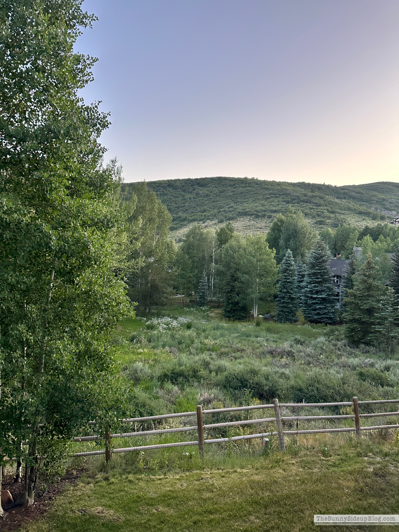 Deer Valley (Sunny Side Up)