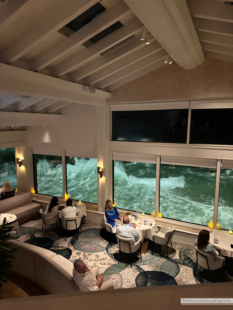 Saturday 6 (Sunny Side Up)