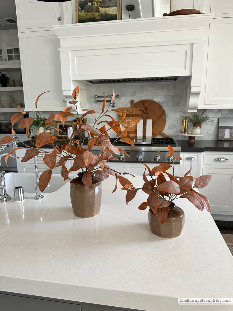 Fall Target Drop (Sunny Side Up)