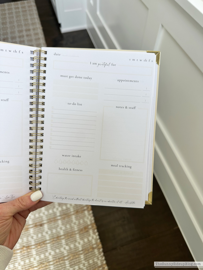 Saturday 6 (Sunny Side Up)