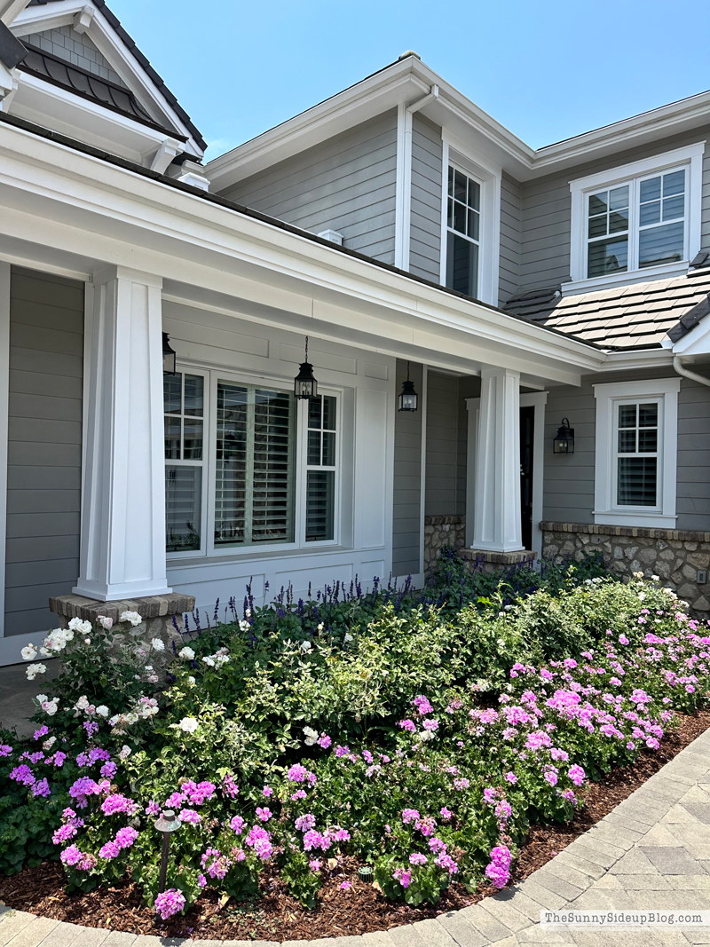 Saturday 6 (Sunny Side Up)