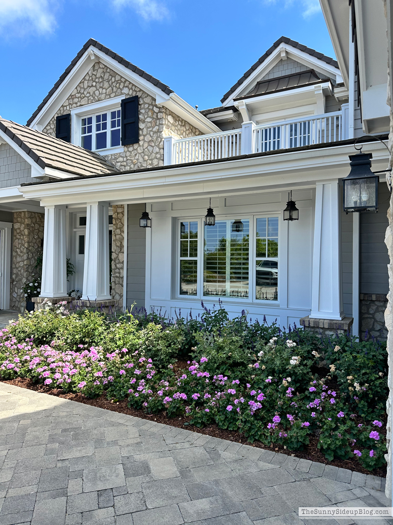 Saturday 6 (Sunny Side Up)