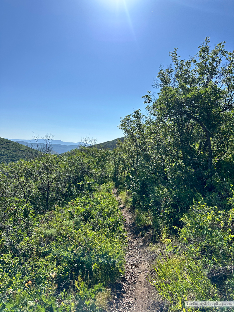 Deer Valley (Sunny Side Up)