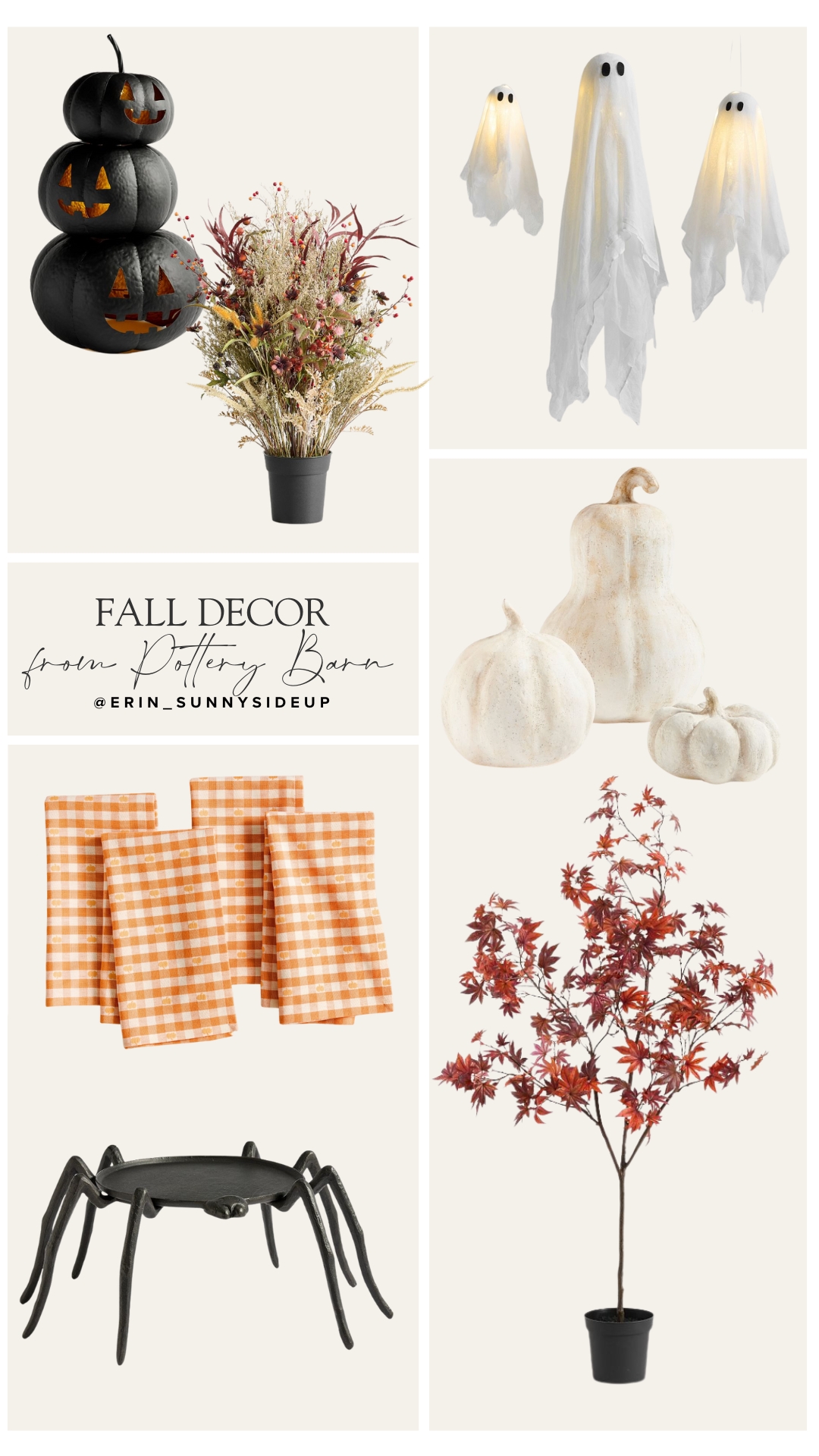 Sunday Edit (Sunny Lifestyles Blog)
