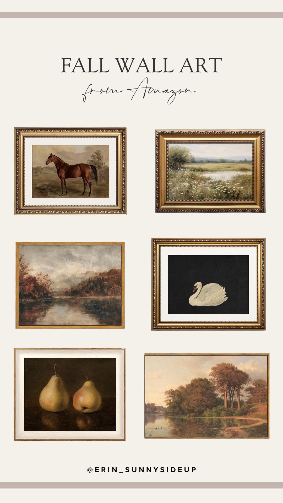 Sunday Edit (Sunny Side Up Blog)