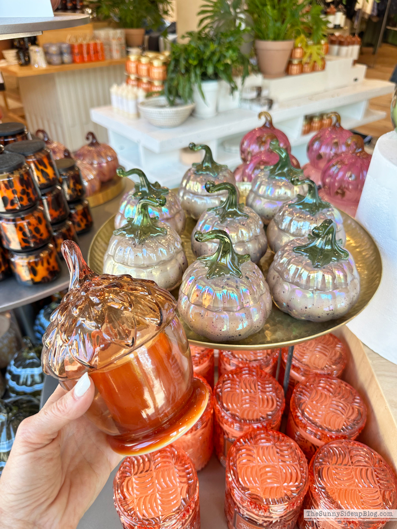 Fall Decor (Sunny Side Up)