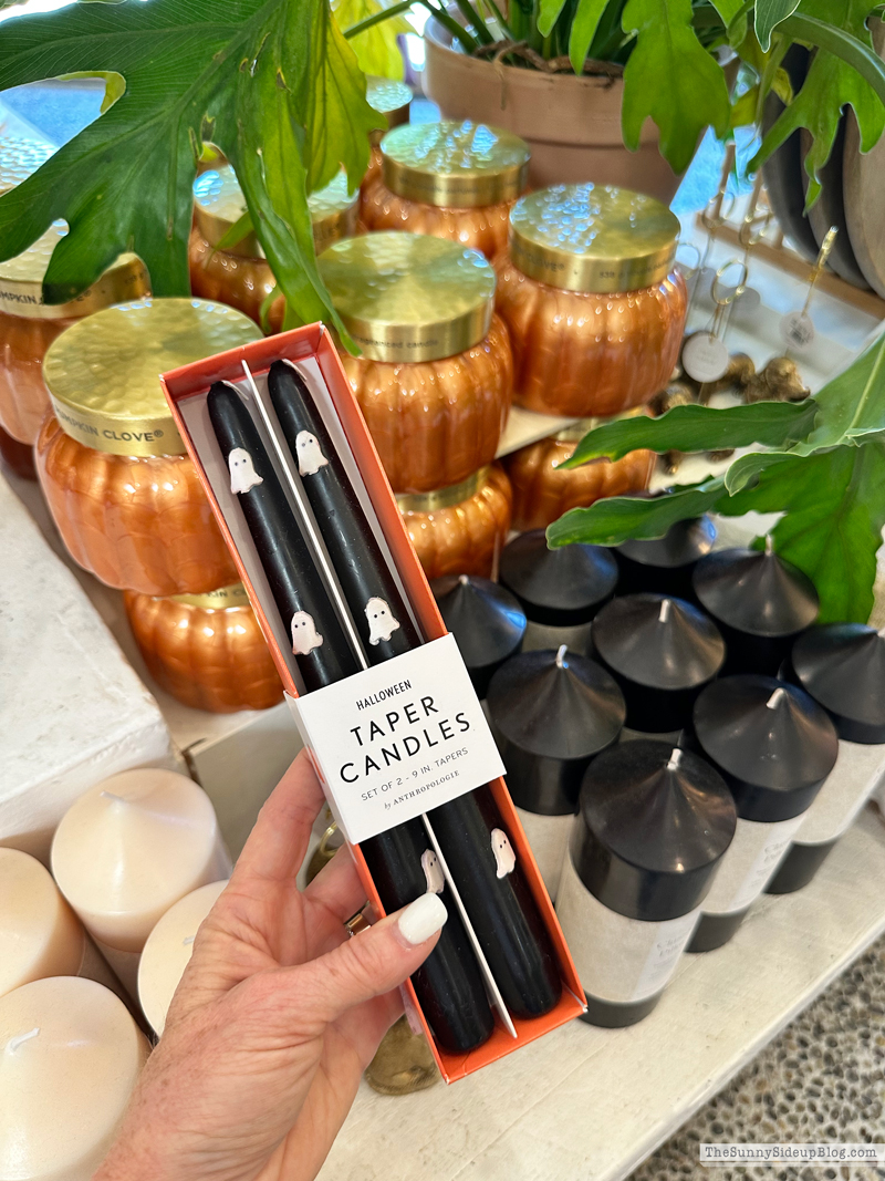 Fall Decor (Sunny Side Up)