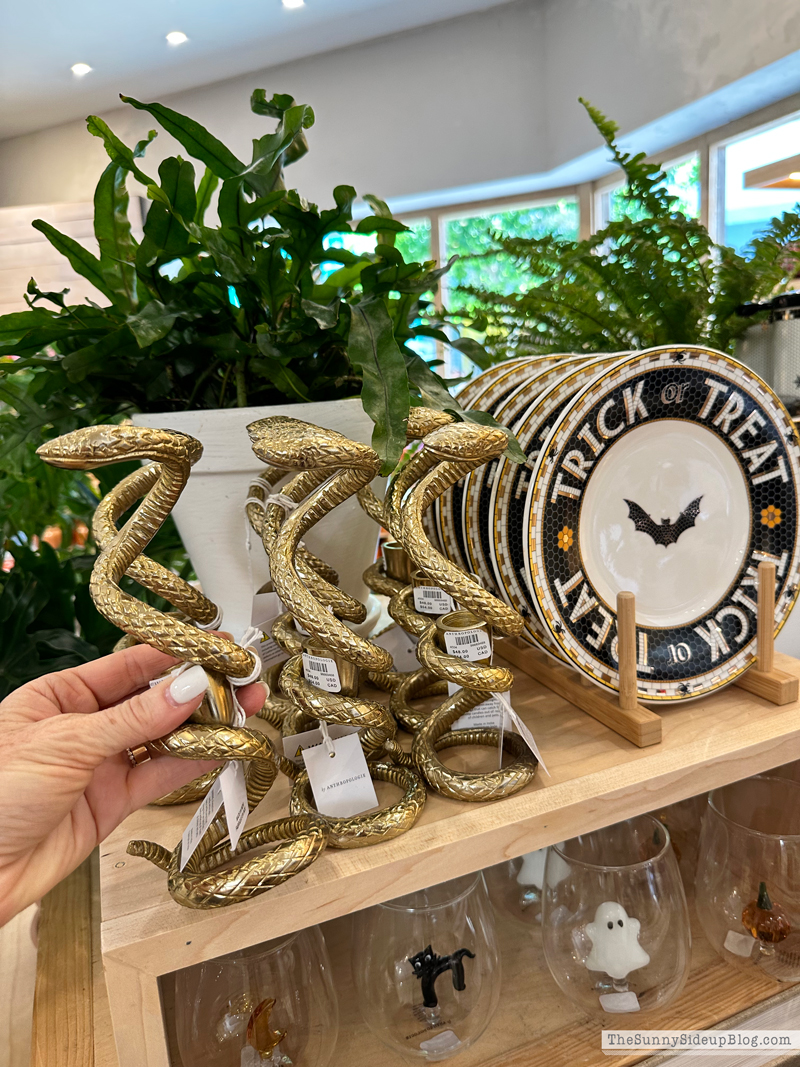 Fall Decor (Sunny Side Up)