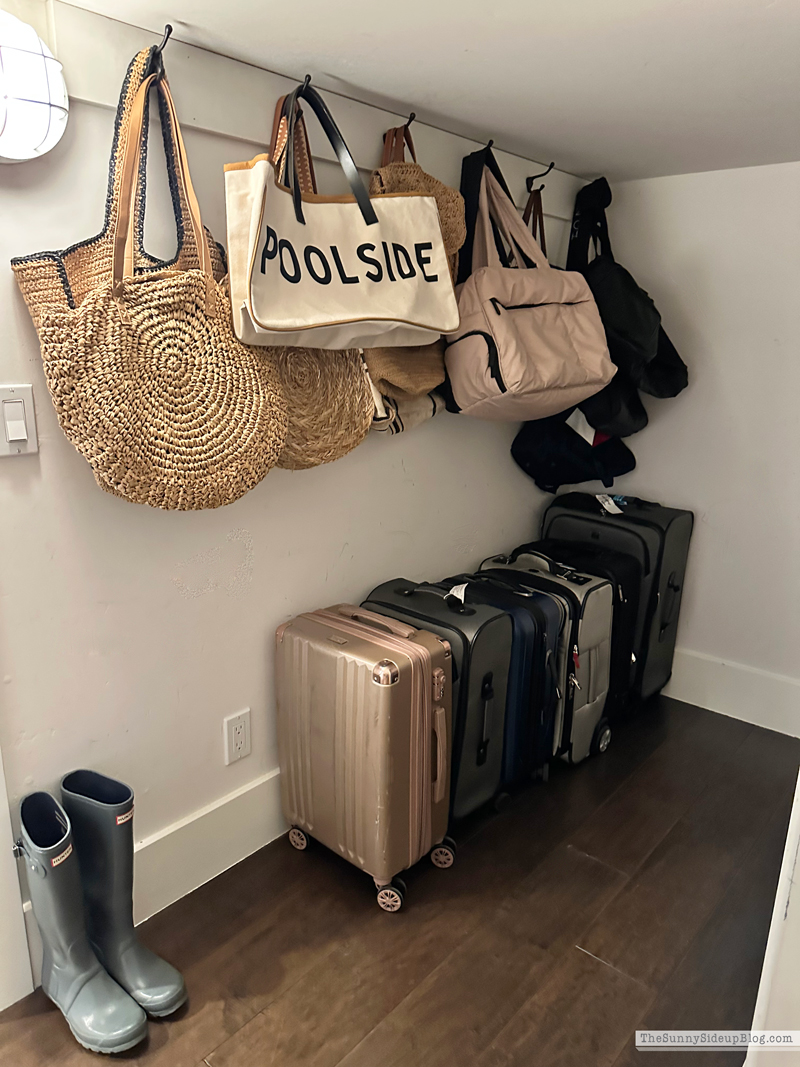 Closet Clean Out (Sunny Lifestyles)