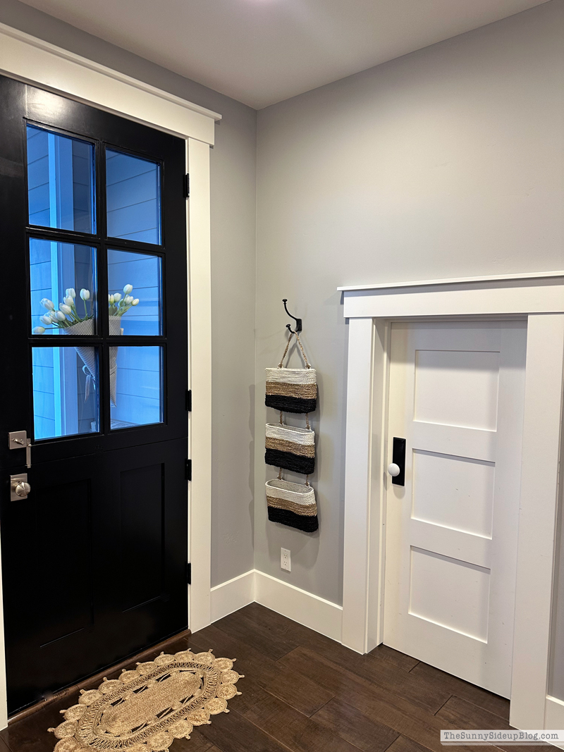 Closet Clean Out (Sunny Lifestyles)