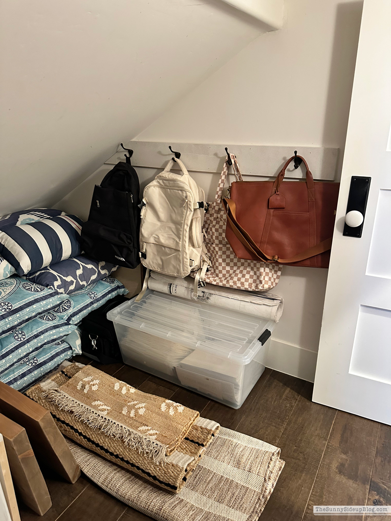 Closet Clean Out (Sunny Lifestyles)