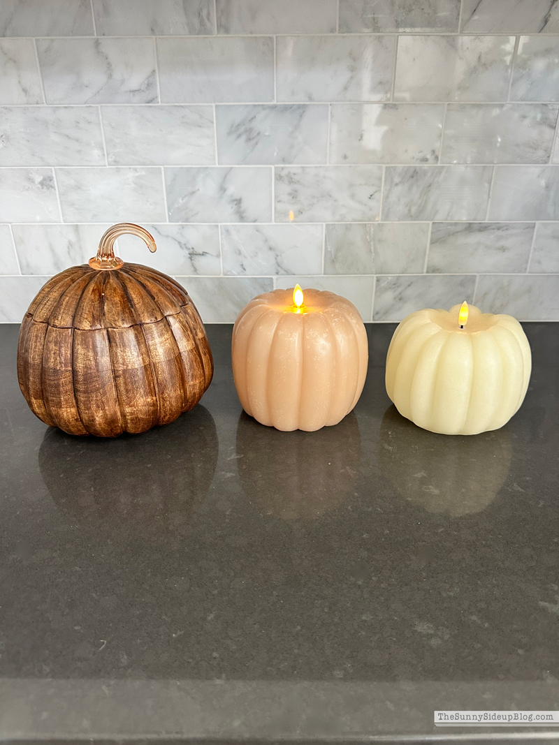 Fall Decor (Sunny Lifestyles)