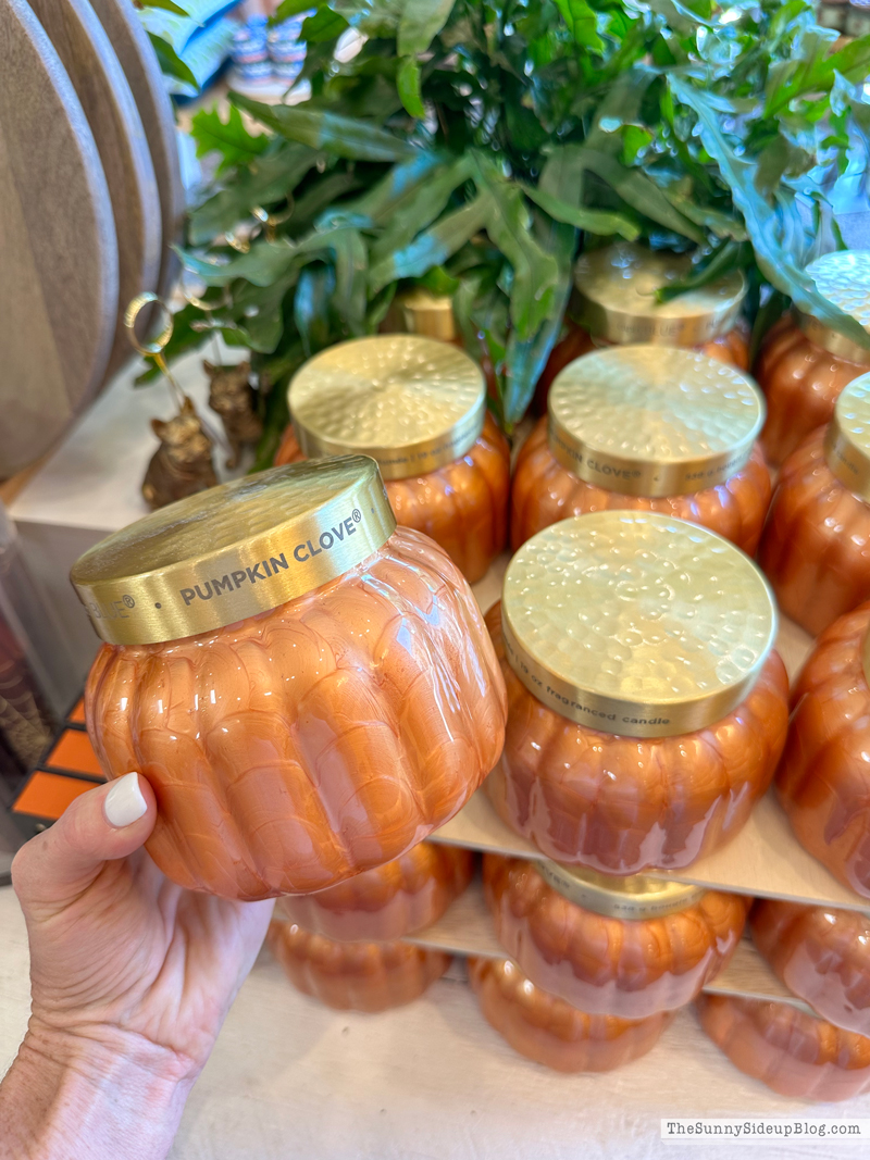 Fall Decor (Sunny Side Up)