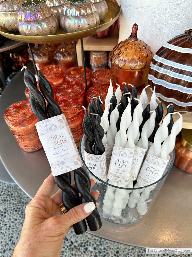 Fall Decor (Sunny Side Up)