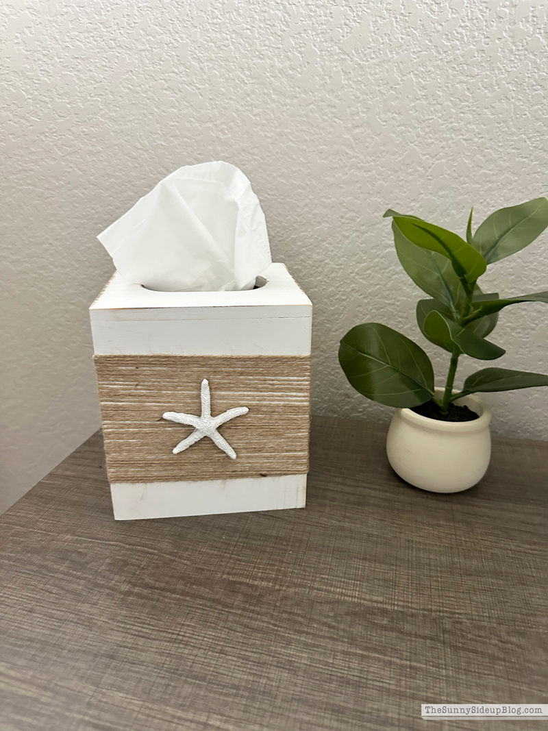 College Apartment Decor (Sunny Side Up)