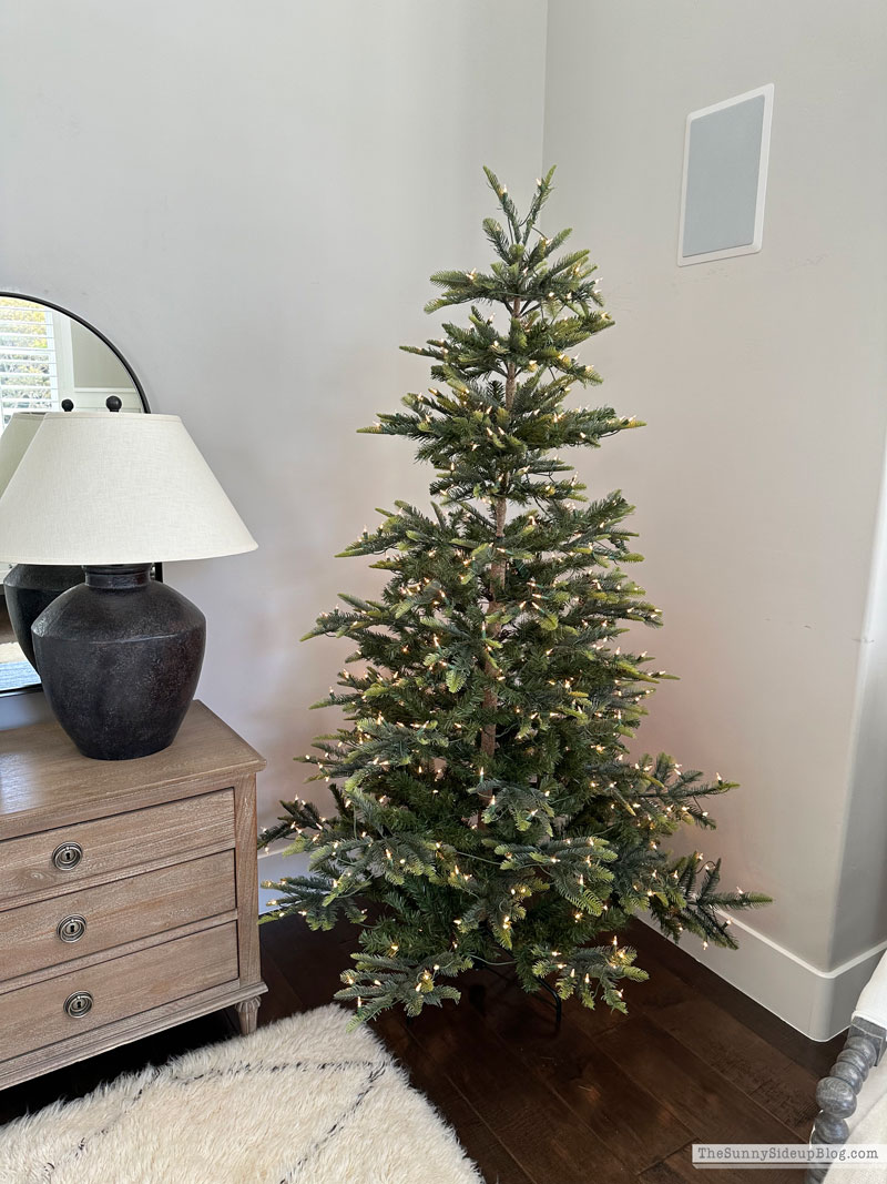 Christmas Trees (Sunny Side Up)