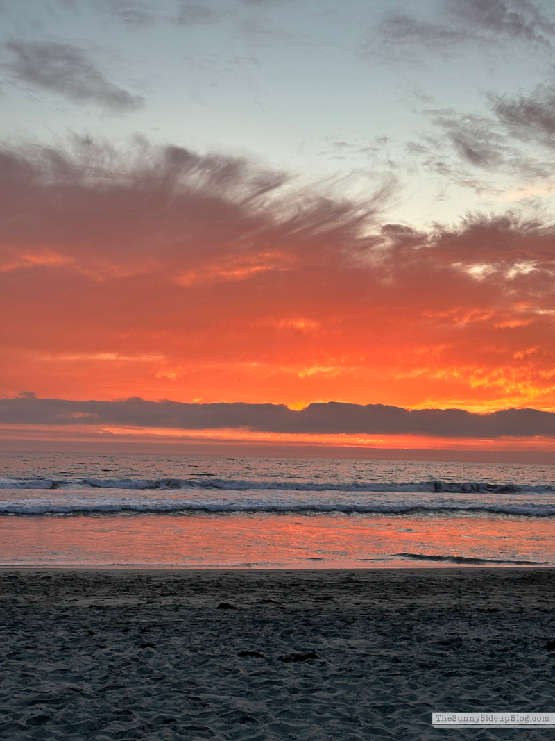 Saturday 6 (Sunny Side Up)