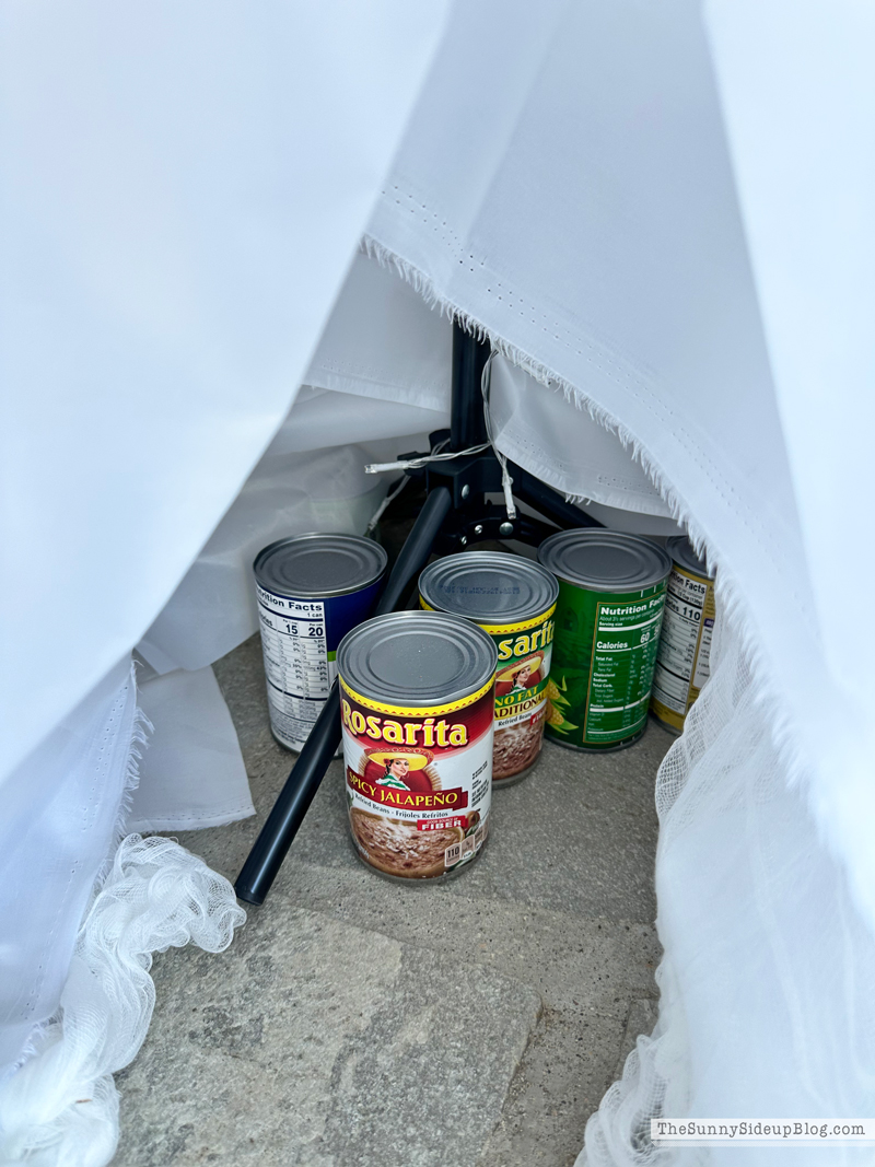 Fall Porch Loading (Sunny Side Up)