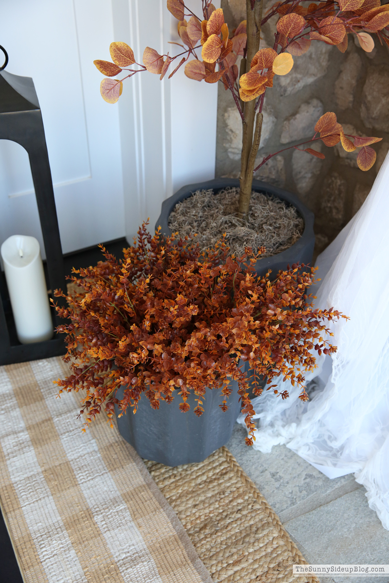 Fall Porch Loading (Sunny Side Up)