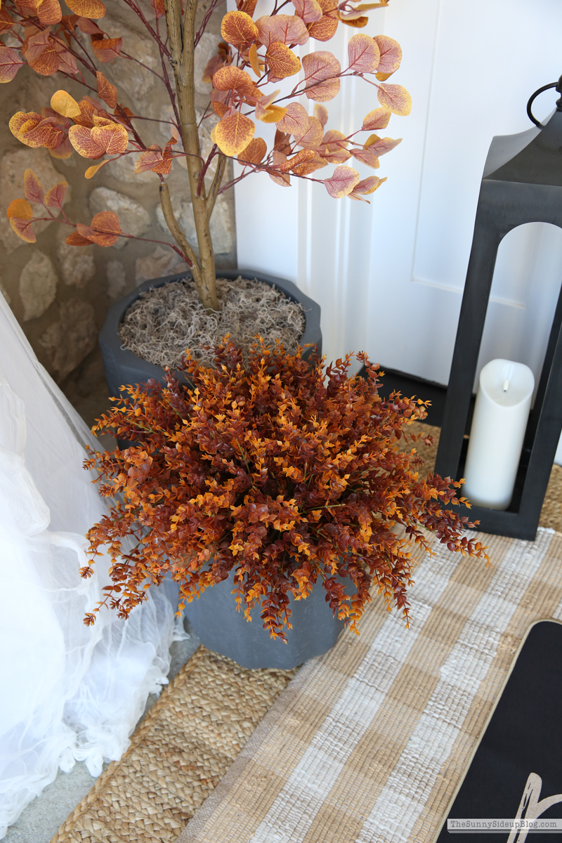 Fall Porch Loading (Sunny Side Up)