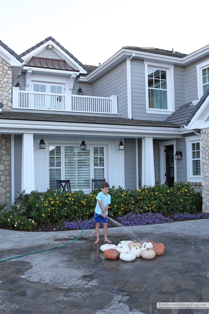 Pumpkin Washing (Sunny Side Up)
