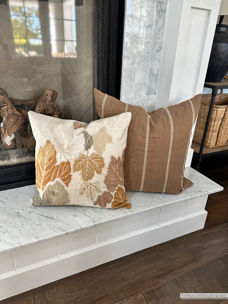 Fall Pillows (Sunny Side Up)