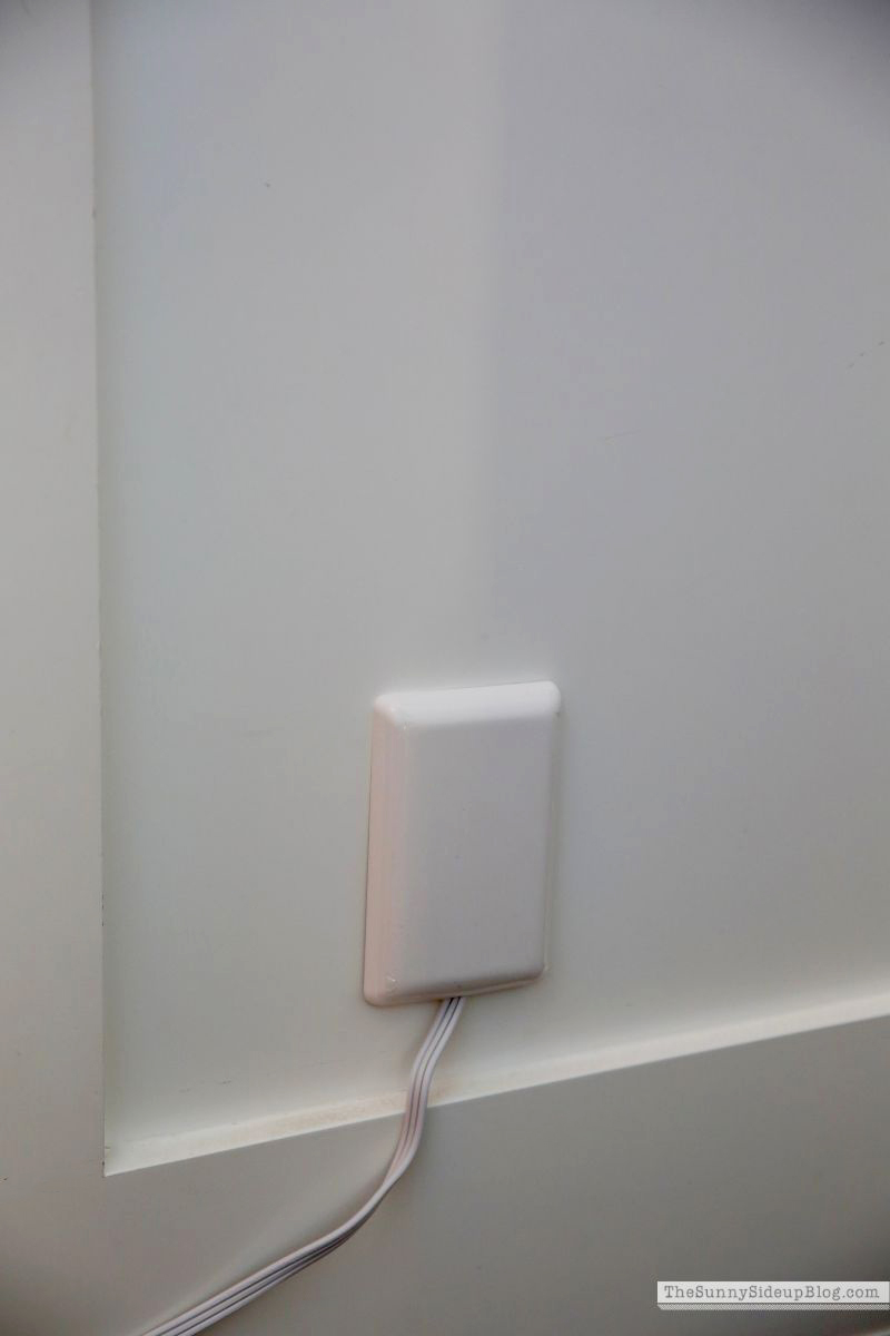 Fall (Sunny Side Up)