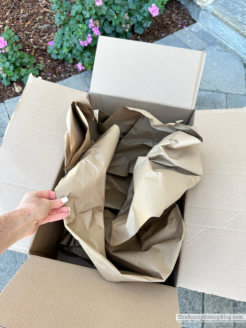 Fall Porch Loading (Sunny Side Up)