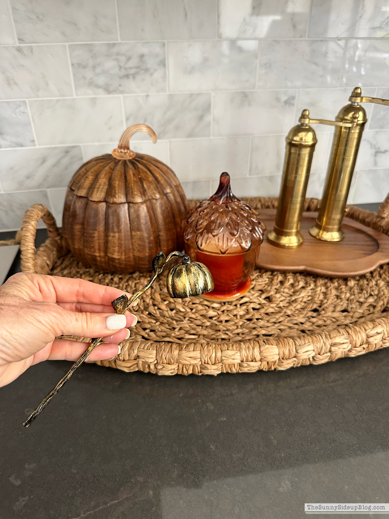 Saturday 6 (Sunny Side Up)