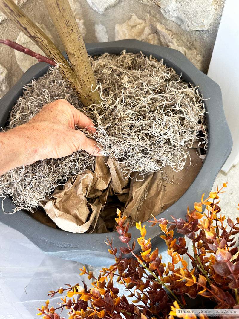 Fall Porch Loading (Sunny Side Up)