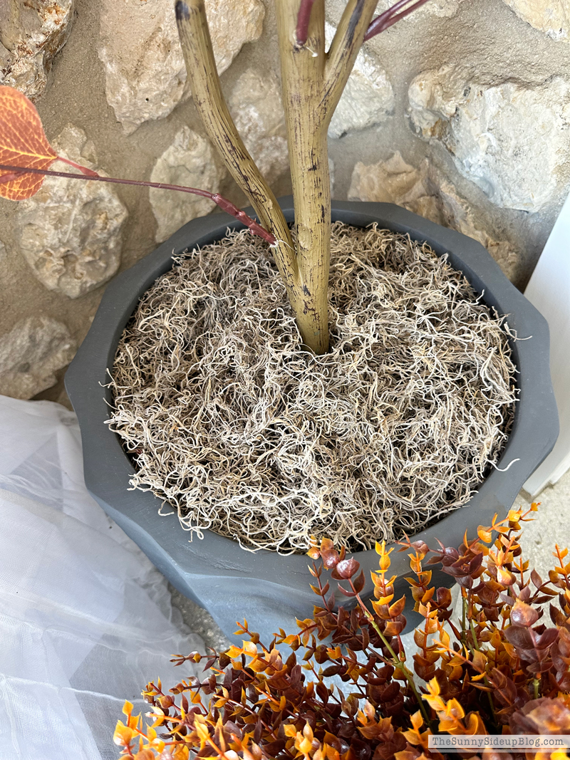 Fall Porch Loading (Sunny Side Up)