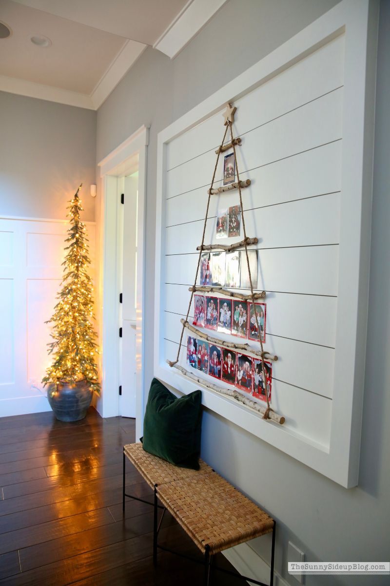 Christmas Trees (Sunny Side Up)