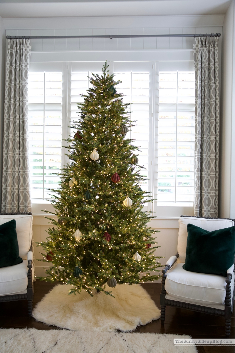 Christmas Trees (Sunny Side Up)